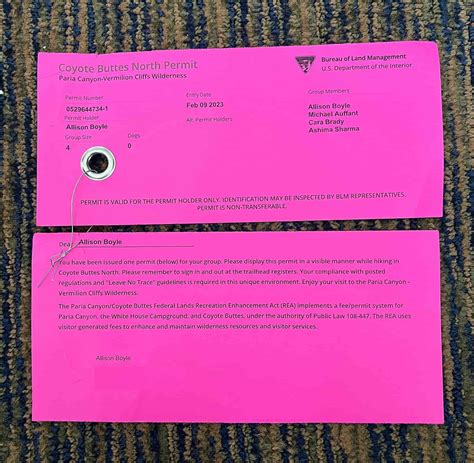 The Ultimate Guide to Hiking The Wave Arizona (Plus Getting The Wave ...