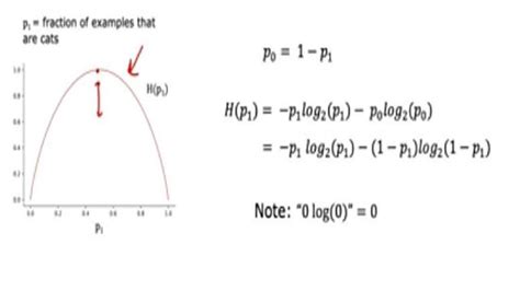 Image result for Certainty Equivalent Model Decision Tree
