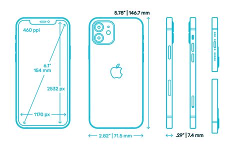 Apple iPhone 12 (14th Gen) Dimensions & Drawings | Dimensions.com