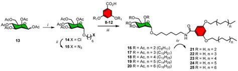 Synthesis & Evaluation of Novel Mannosylated Neoglycolipids for ...