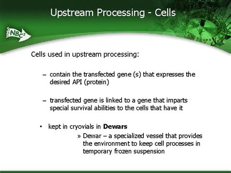 Image result for Upstream Process Overview Slide