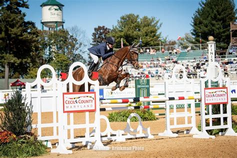 Lessons with Sally Cousins at Kealani Farm, 651 Coatesville Rd West ...