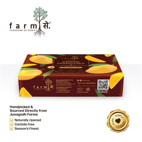 FarmSe Kesar 1.5kg Mangoes - Pack of 5 Mangoes