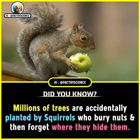 Interesting Things 的图像结果