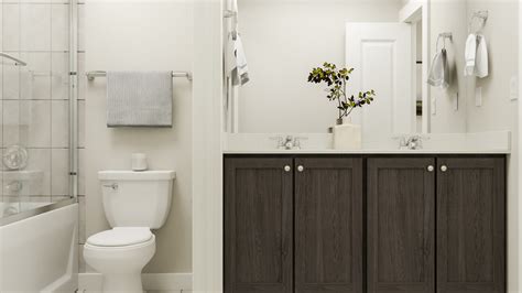 Tricon Peek Road Rental Home Community | Tricon Residential