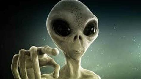 Image result for Alien Day 2022