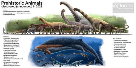 New Species Discovered 2025