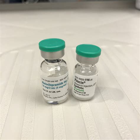 What Is Metoclopramide For Rabbits at Mitchell Fredricksen blog