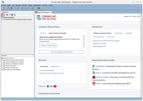 Oracle Basic Connection Database Entry 的图像结果