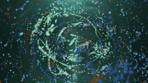 Image result for Particle Video Download