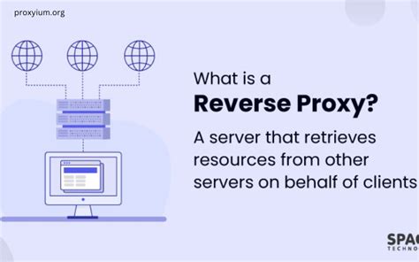Image result for HTTP Reverse Proxy Benefits