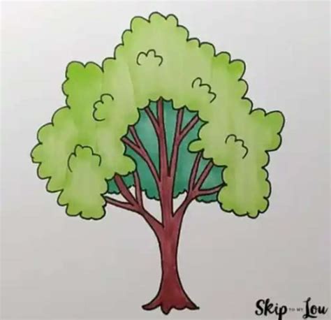 Image result for Scetching Lesson How to Draw a Tree
