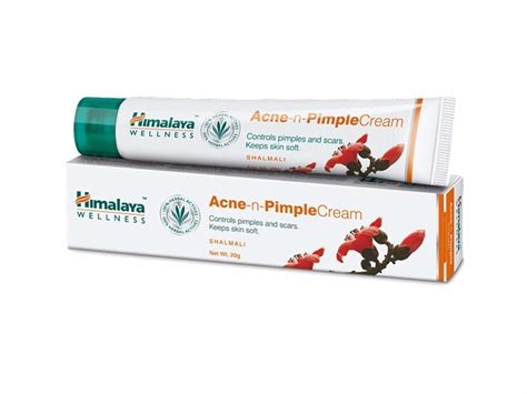 Buy Himalaya Herbals Acne-n-Pimple Cream, 20g Online at Low Prices in ...