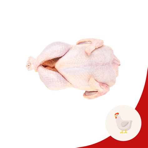 Image result for Spring Chicken Sing and Sign