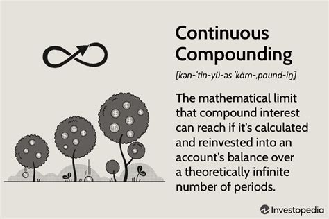Continuous Compounding Interest Application 的图像结果