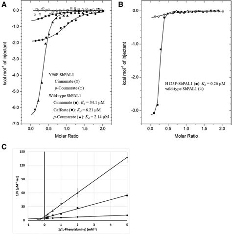 Image result for Fast in Software Engineering