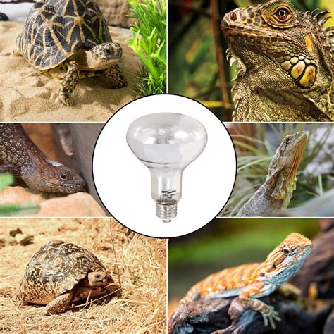 REPTIZOO REPTI ZOO Full Spectrum UVA + UVB Sun Lamp India | Ubuy