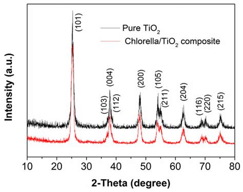 Immobilization of TiO2 Nanoparticles on Chlorella pyrenoidosa Cells for ...