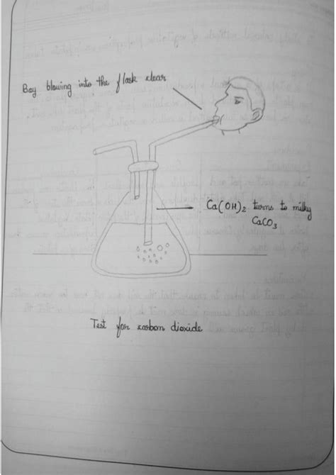 Image result for NCERT Science Experiments