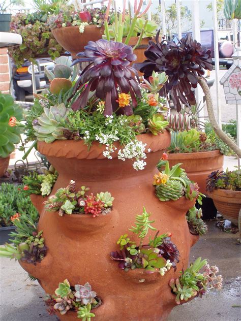 Image result for Types of Plant Containers