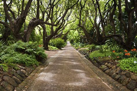 Image result for Coding Tree Template