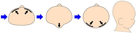 Image result for Java Practicle Quiz