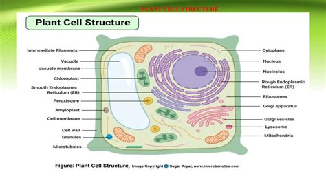 Image result for Structural Unit