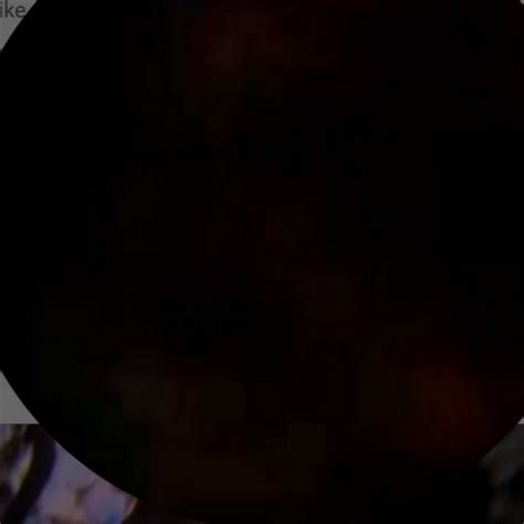 Image result for Alantutorial Seegore