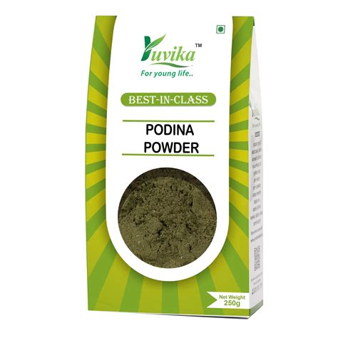 Podina Powder - Pudina - Mentha Arvensis Linn – Yuvika Herbs Ayurveda