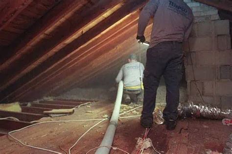 Attic Pest Control 的图像结果
