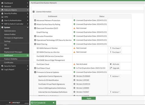Image result for Lace Work Fortinet Application Protection