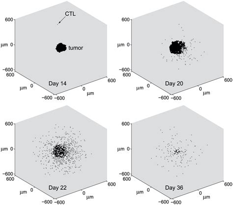 Image result for ABM Time Step Simulation