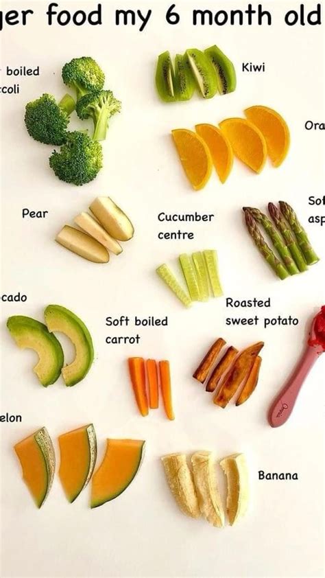 Best foods for baby led weaning – Artofit