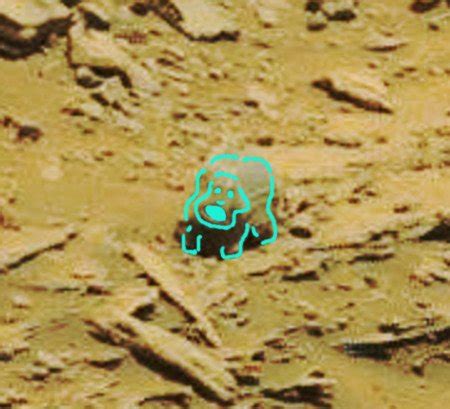 Image result for Alien Skull On Mars