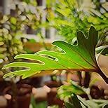 MI 10i 5G (Midnight Black, 6GB RAM, 128GB Storage) - 108MP Quad Camera ...