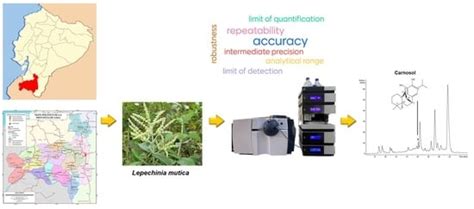 A Validated HPLC-UV-ESI-IT-MS Method for the Quantification of Carnosol ...