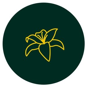 Buy Fogg I Am Queen Scent For Women, 100ml & Fogg 1000 Sprays Fragrant ...