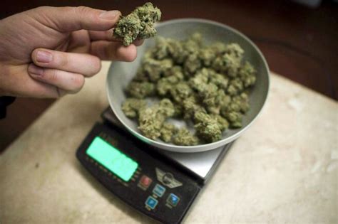 Marijuana médicinale: trois quarts des vétérans consomment plus de 3 ...