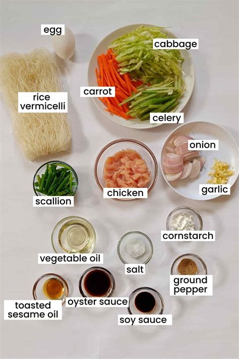 Chicken mei fun home style noodle recipe – Artofit