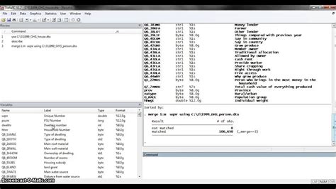Image result for Stata Collapse String Variable