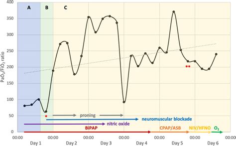 Image result for PaO2 FiO2 Ratio