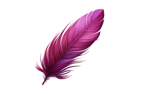 Feather Clipart Graphic by Forhadx5 · Creative Fabrica