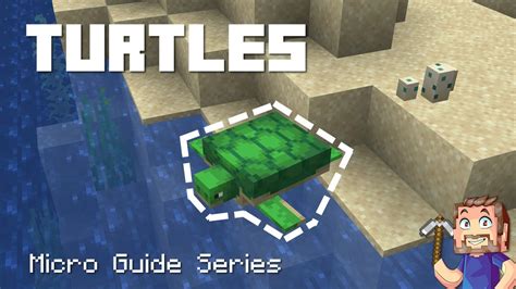 Turtle Tutorial Minecraft 的图像结果