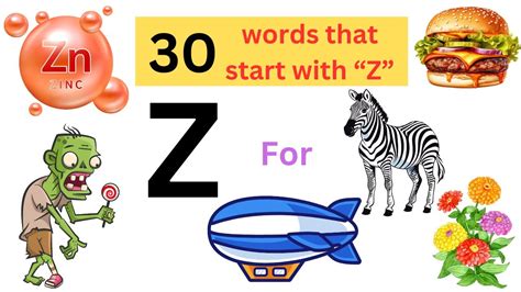 30 Words starting with letter Zz | z words | Letter Zz words for kids ...