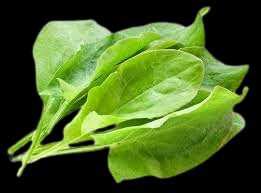 100+ Vegetables Name in English and Hindi with Picture