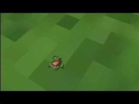 Image result for Frog Jumping Backwards Meme
