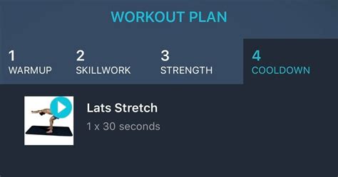 Image result for Front Lever Exercise