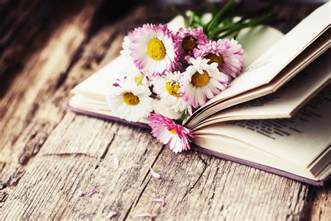 Check Out The 15 Best Books About Flowers In 2024