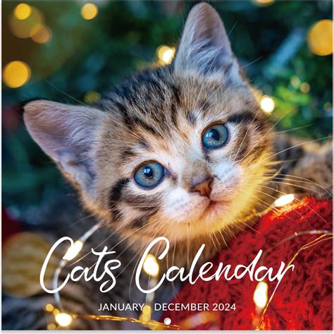 Lemome Home 2024 Wall Calendar - Cutie Cat Theme, Jan. 2024 to India | Ubuy