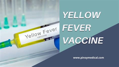 Yellow Fever Vaccine Price in the Philippines 2026 — PinoyMedical